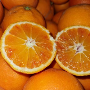 Orange tarocco bio