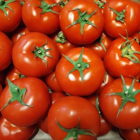 Tomates rondes bio 500gr