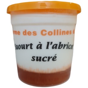 Yaourt bio sur coulis...