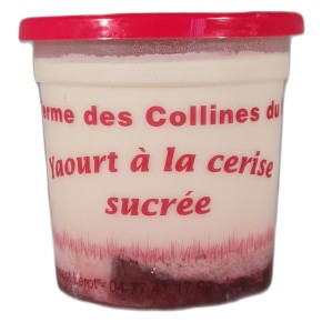 Yaourt bio sur coulis de...