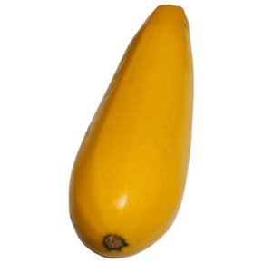 Courgette longue jaune Bio...