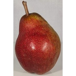 Poire William rouge bio...