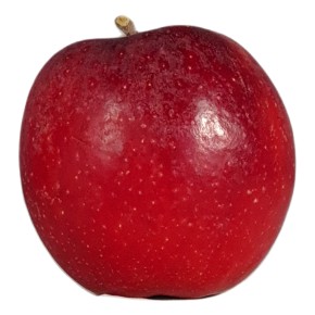 Pomme Royal Gala bio 500g