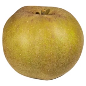 Pomme Canada grise bio 500g