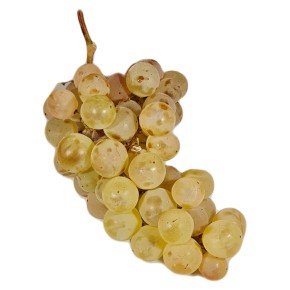 Raisin Chasselas bio env. 500g