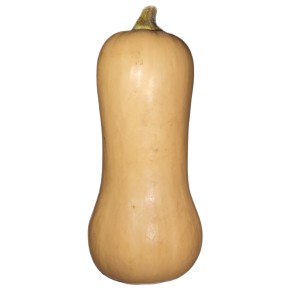 Courge Butternut bio env. 1kg