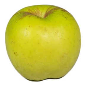 Pomme Golden bio 500g