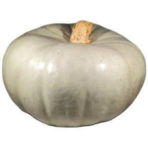 Courge Bleue de Hongrie bio