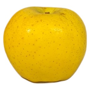 Pomme Chanteclerc bio 500g