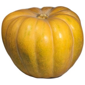 Courge Muscade bio