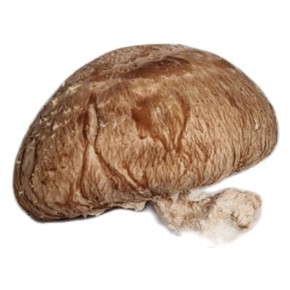 shiitake (bio) 200 g