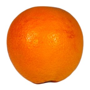 Orange Tarocco bio